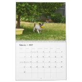 Fox Terrier Come Play, Kalender (Feb 2027)