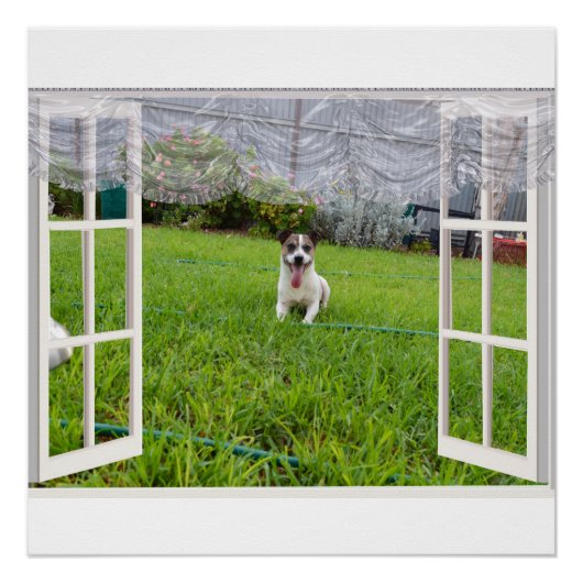Fox Terrier Come Play, Poster (Vorderseite)