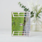 Fox Terrier Come Play, Postkarte (Stehend Vorderseite)
