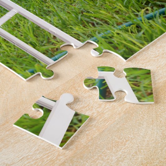 Fox Terrier Come Play, Puzzle (Seite)