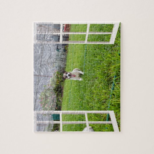 Fox Terrier Come Play, Puzzle (Vertikal)