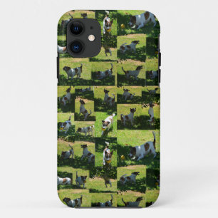 Fox Terrier, der harte Tag, Case-Mate iPhone Hülle