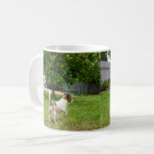 Fox Terrier, der in einen Baum sprang, Kaffeetasse (Vorderseite Links)