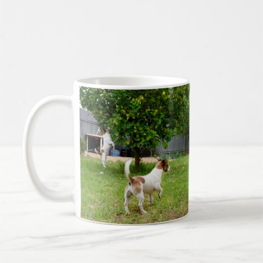Fox Terrier, der in einen Baum sprang, Kaffeetasse (Links)