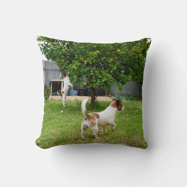 Fox Terrier, der in einen Baum sprang, Kissen (Vorderseite)