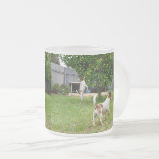 Fox Terrier, der in einen Baum sprang, Mattglastasse (VorderseiteRechts)