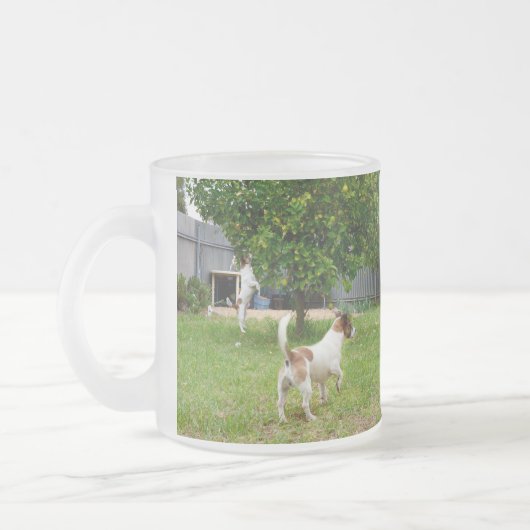 Fox Terrier, der in einen Baum sprang, Mattglastasse (Links)