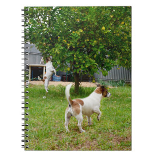 Fox Terrier, der in einen Baum sprang, Notizblock