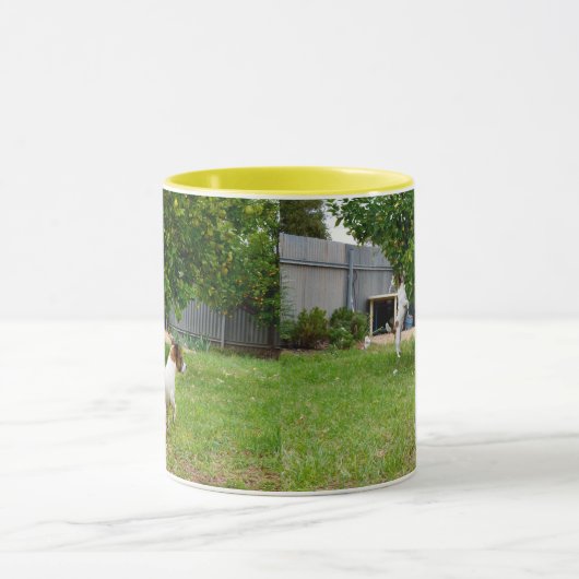 Fox Terrier, der in einen Baum sprang, Tasse (Zentrum)