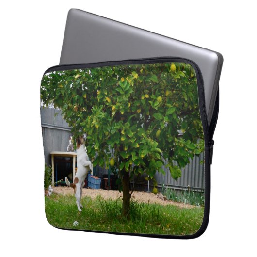 Fox Terrier, der Sprung, der Laptop-Sieb Laptopschutzhülle (Vorderseite Links)