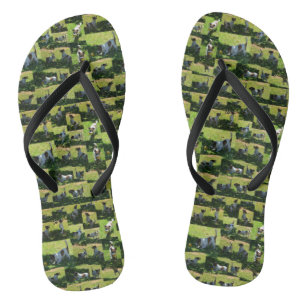 Fox Terrier die lange harte TagesfotoCollage, Badesandalen