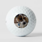 Fox Terrier Dog Attraction, Golfball (Vorderseite)