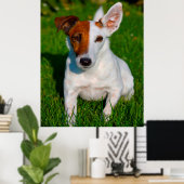 Fox Terrier Dog. Poster (Heimbüro)