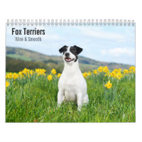 Fox Terrier Draht- und Glatt-haar 2027 Kalender