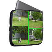 Fox Terrier, Foto Collage 10inch Laptop Sleeve. Laptopschutzhülle (Vorne Rechts)