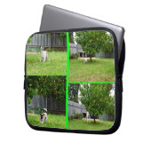 Fox Terrier, Foto Collage 10inch Laptop Sleeve. Laptopschutzhülle (Vorderseite Links)