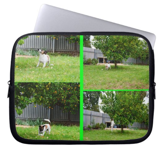 Fox Terrier, Foto Collage 10inch Laptop Sleeve. Laptopschutzhülle (Vorderseite)