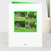 Fox Terrier, Foto Collage, Big Birthday Card Karte (Rückseite)