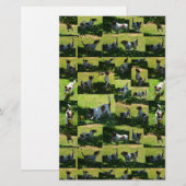Fox Terrier Foto Collage, Briefpapier (Vorne/Hinten)