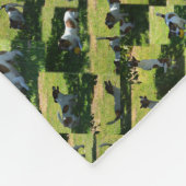 Fox Terrier Foto Collage, Fleecedecke (Ecke)