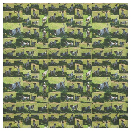 Fox Terrier Foto Collage, Stoff (Muster)