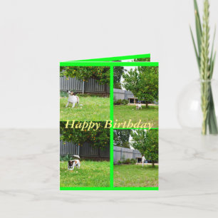 Fox Terrier, FotoCollage, kleine Geburtstagskarte Karte