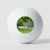 Fox Terrier Funny Scare Face, Golfball (Vorderseite)