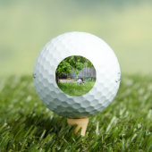 Fox Terrier Funny Scare Face, Golfball (Insitu T-Shirt)