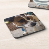 Fox_Terrier,_ Getränkeuntersetzer (Linke Seite)