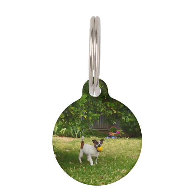 Fox Terrier Happy Days Haustiermarke (Vorderseite)