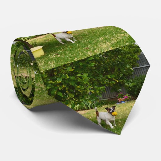 Fox Terrier Happy Days Krawatte (Gerollt)