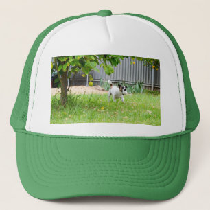 Fox Terrier Lustige Schreck Gesicht, Truckerkappe