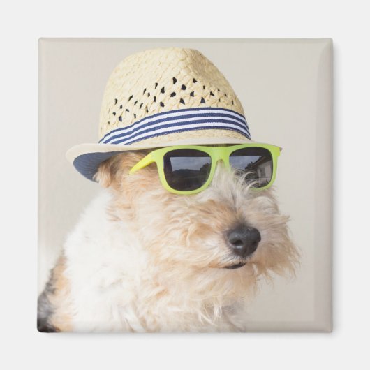 Fox Terrier Magnet (Vorne)