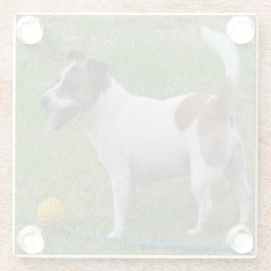 Fox Terrier mit seinem Ball, Glasuntersetzer (Rückseite)