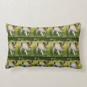 Fox Terrier mit seinem Ball Lumbalkissen. Lendenkissen
