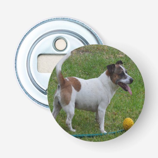 Fox Terrier mit seinem gelben Ball, Flaschenöffner (Vorderseite)