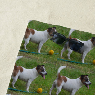 Fox Terrier mit seinem gelben Ball, Strandtuch