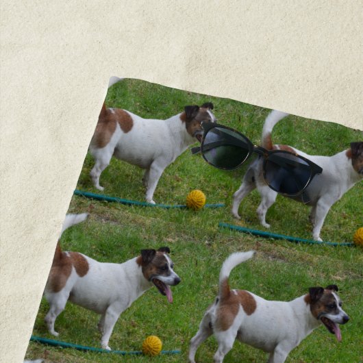 Fox Terrier mit seinem gelben Ball, Strandtuch (Beispiel)