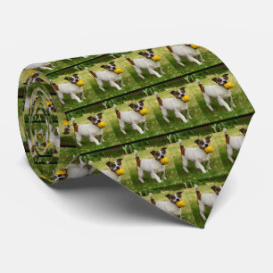 Fox Terrier mit seinem Kugelmuster, Krawatte