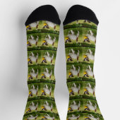 Fox Terrier mit seinem Kugelmuster, Socken (Oben)