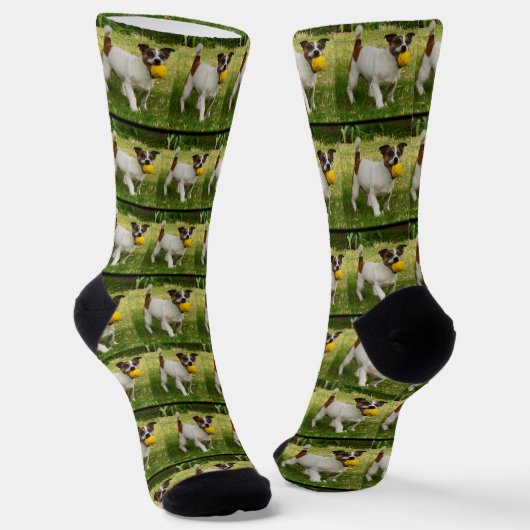 Fox Terrier mit seinem Kugelmuster, Socken (Gewinkelt)