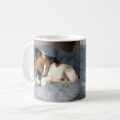 Fox Terrier, Oh so schüchtern, die Tasse des weiße (Vorderseite Links)