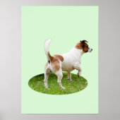 Fox Terrier on Alert Poster (Vorne)