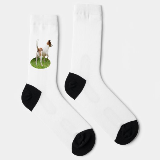 Fox Terrier on Alert Socken (Rechts)