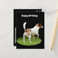 Fox Terrier on Guard Duty, Birthday Postcard