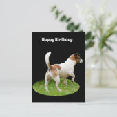 Fox Terrier on Guard Duty, Birthday Postcard Postkarte (Stehend Vorderseite)