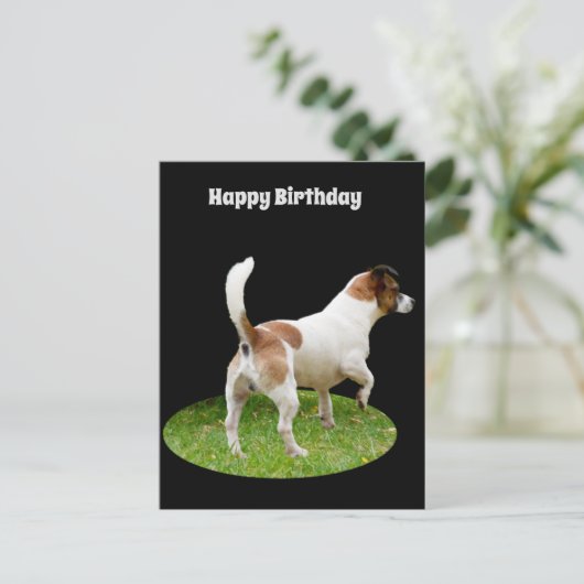 Fox Terrier on Guard Duty, Birthday Postcard Postkarte (Stehend Vorderseite)