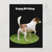 Fox Terrier on Guard Duty, Birthday Postcard Postkarte (Vorderseite)