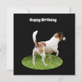 Fox Terrier on Guard Duty, Flat Birthday Card (Vorderseite)