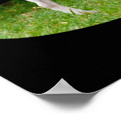 Fox Terrier on Guard Duty, Poster (Ecke)